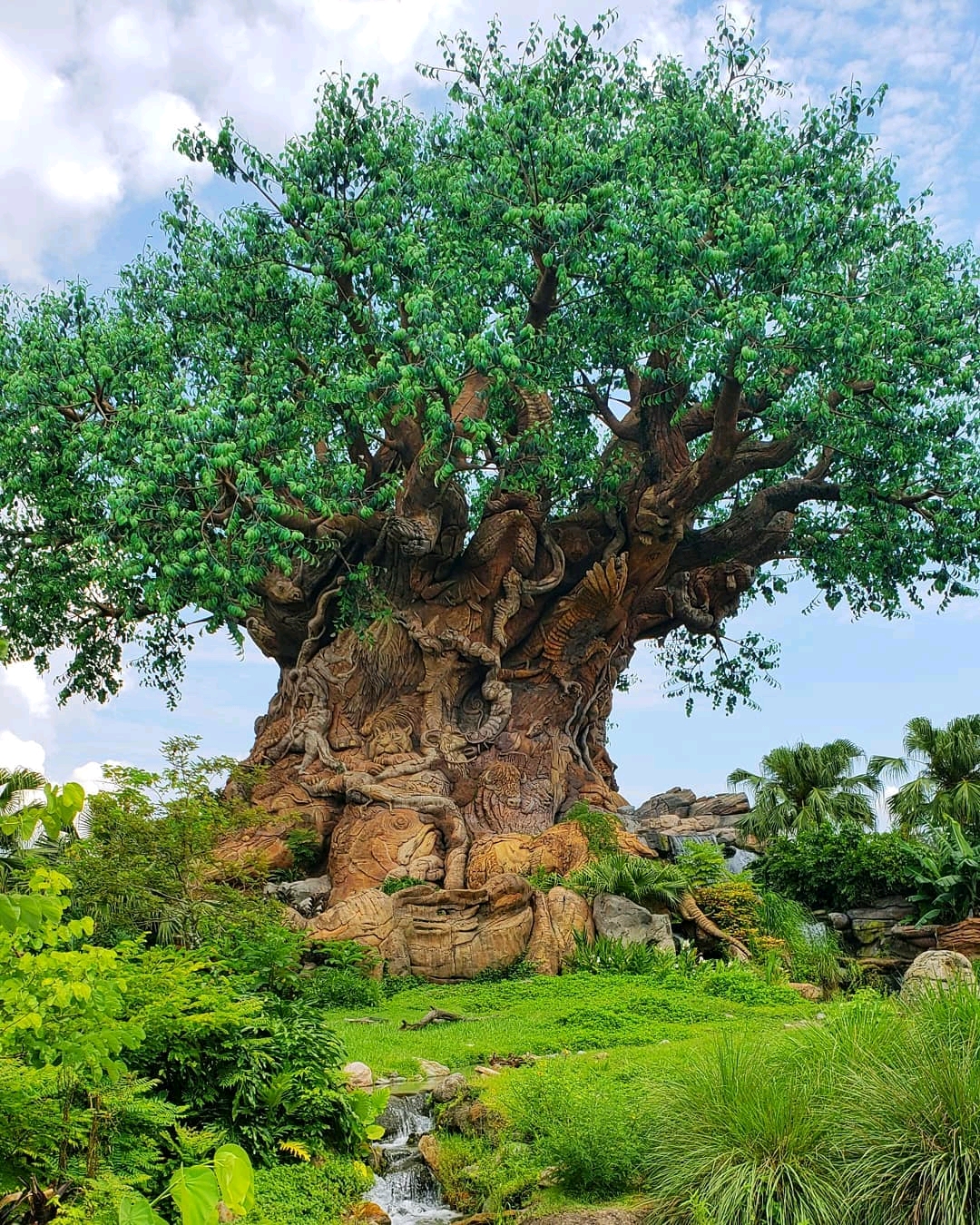 Top 90+ Images arbol de la vida animal kingdom Latest